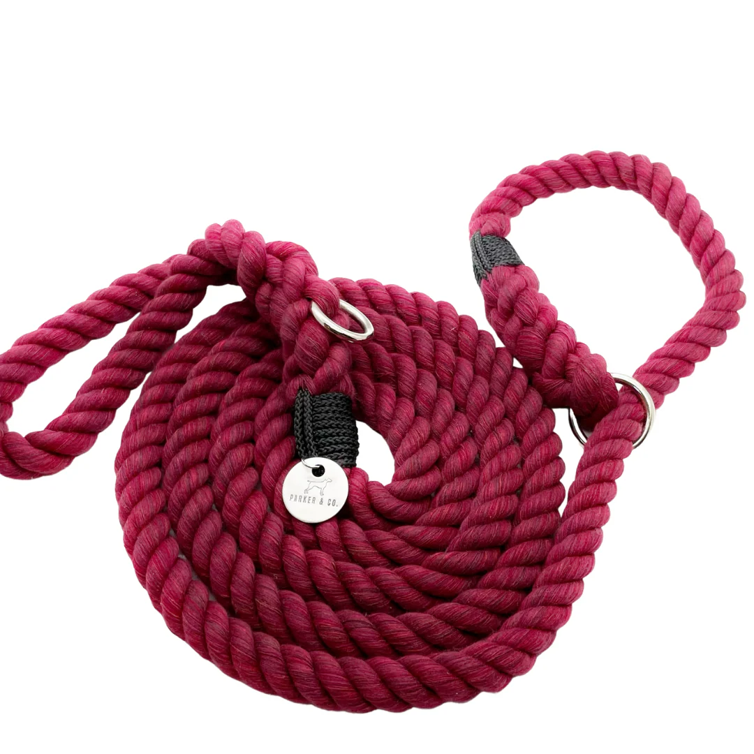 Cotton Rope Slip Leash - Image 5