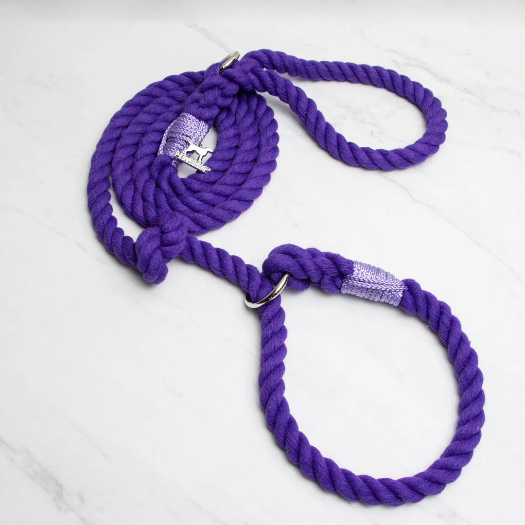 Cotton Rope Slip Leash - Image 6