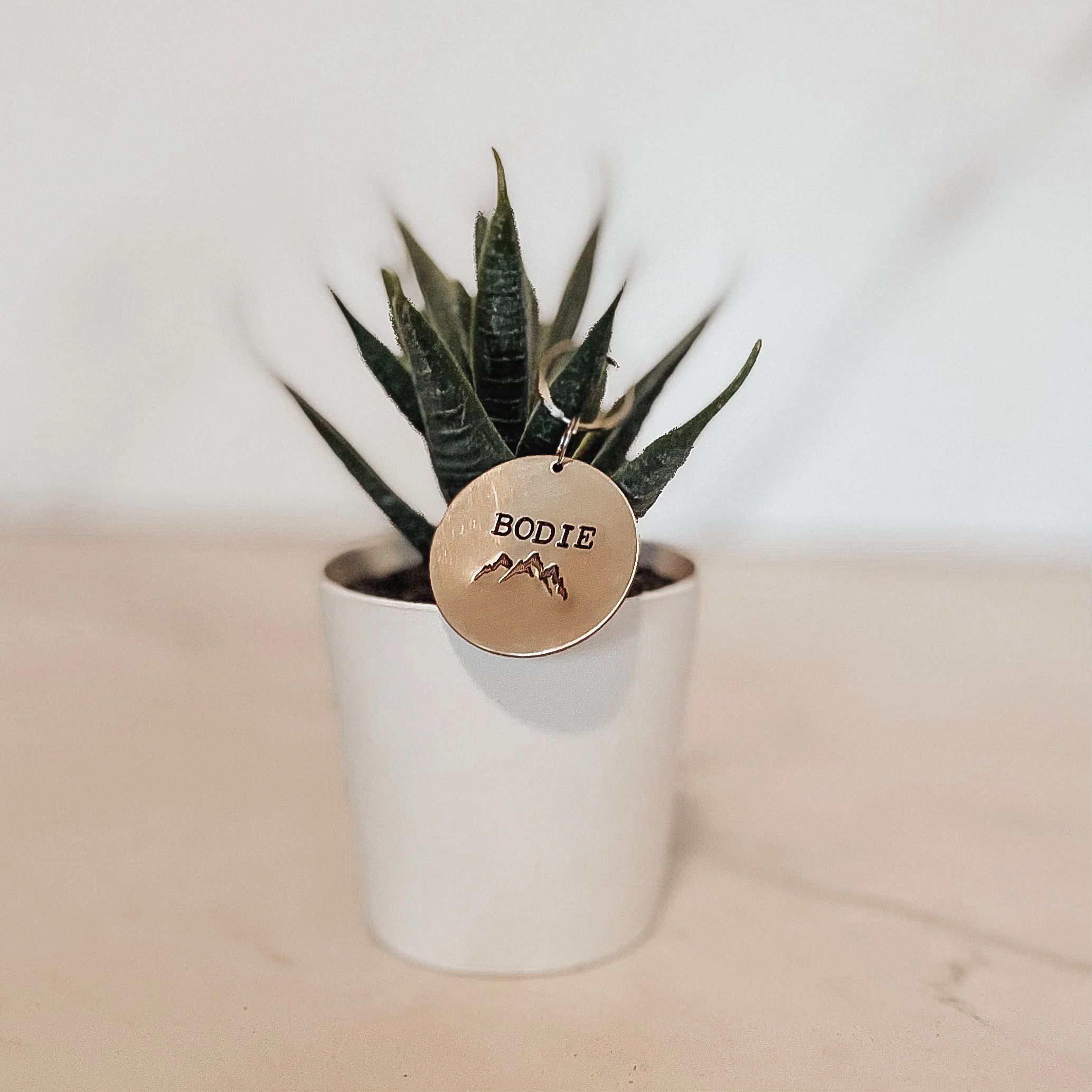 Hand Stamped Pet ID Tag - Image 14