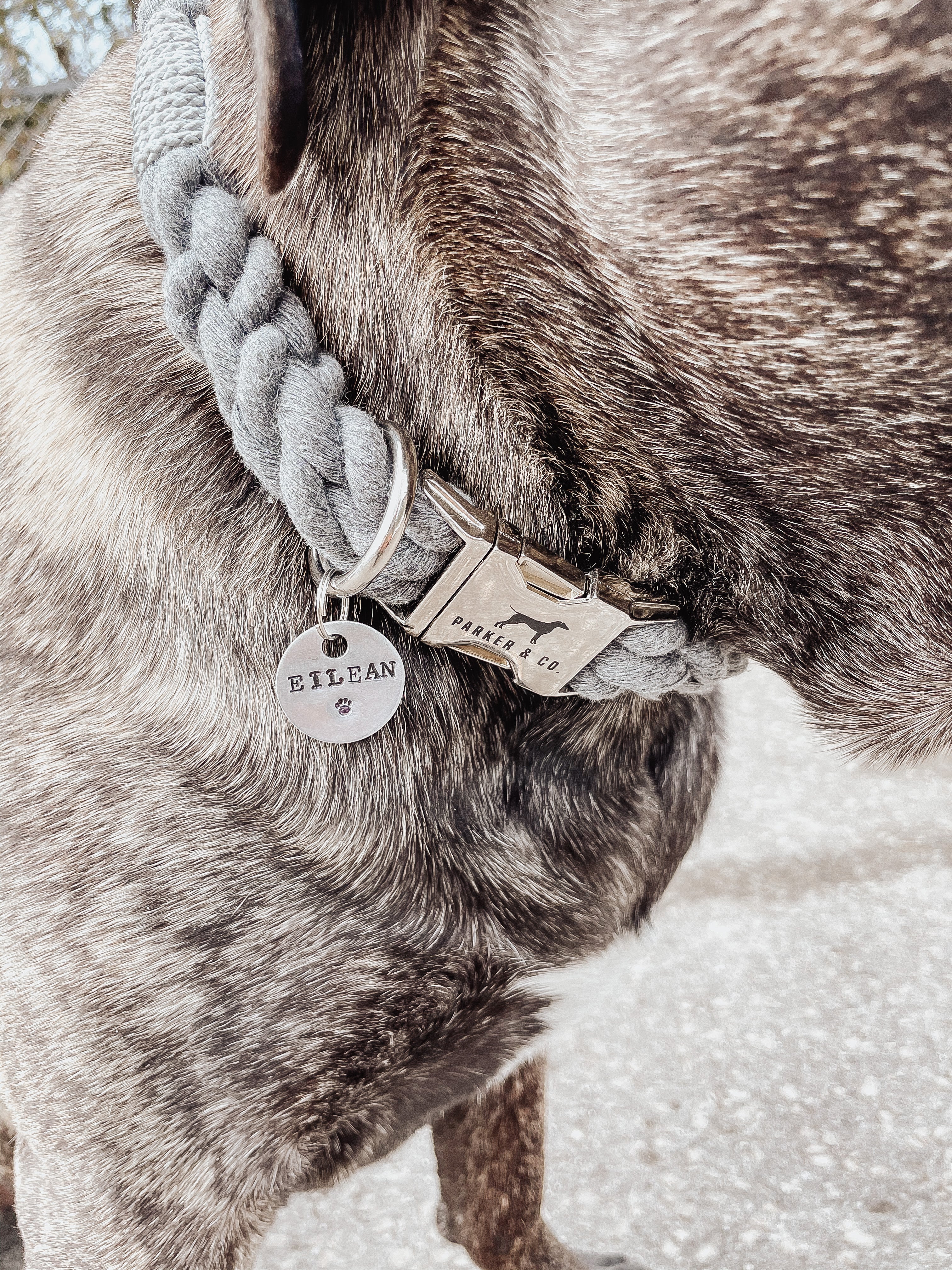 Hand Stamped Pet ID Tag - Image 3