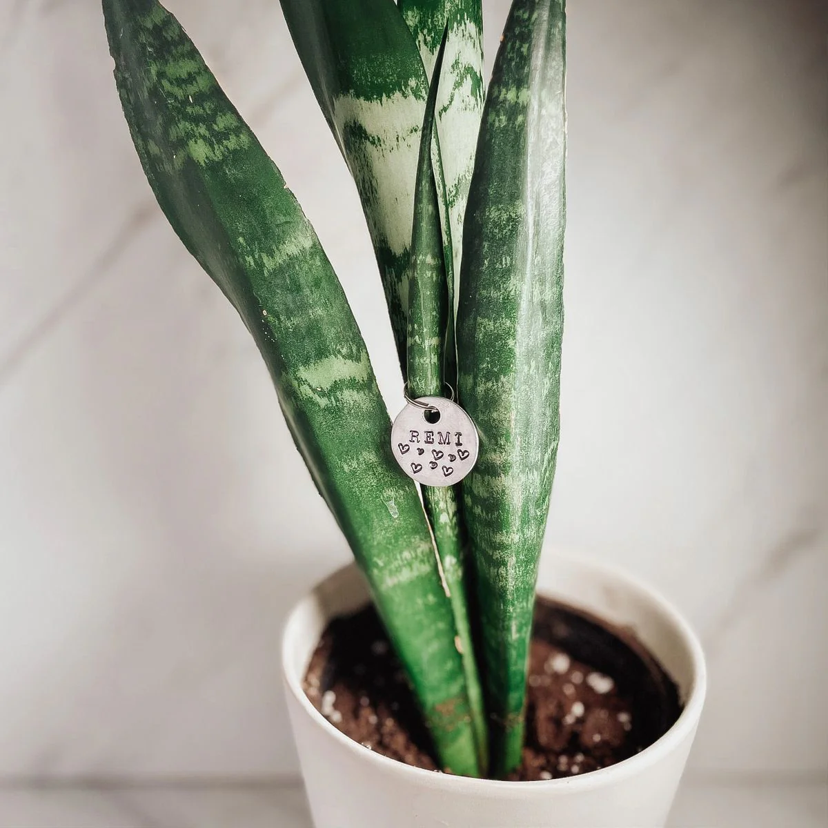 Hand Stamped Pet ID Tag - Image 4