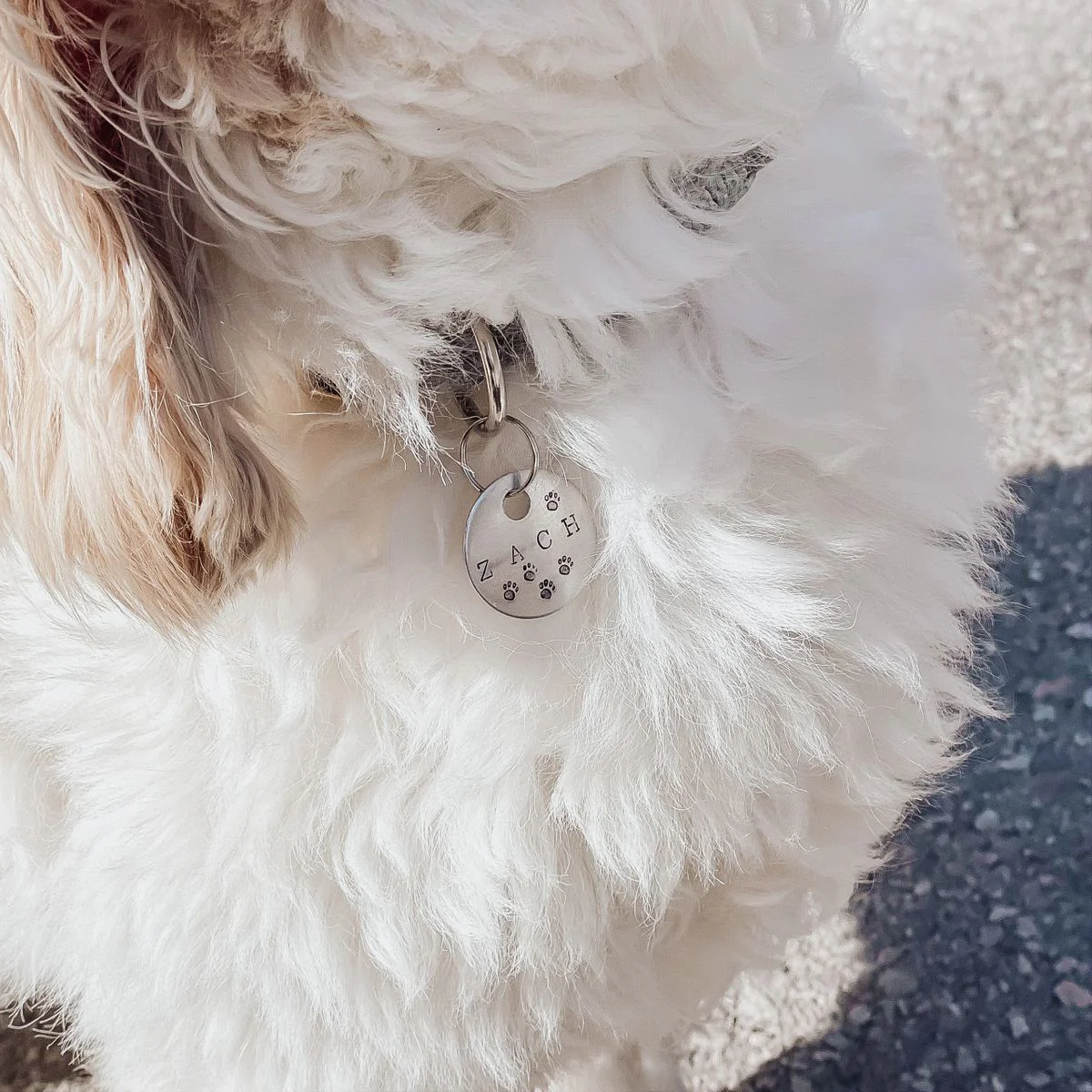 Hand Stamped Pet ID Tag - Image 5