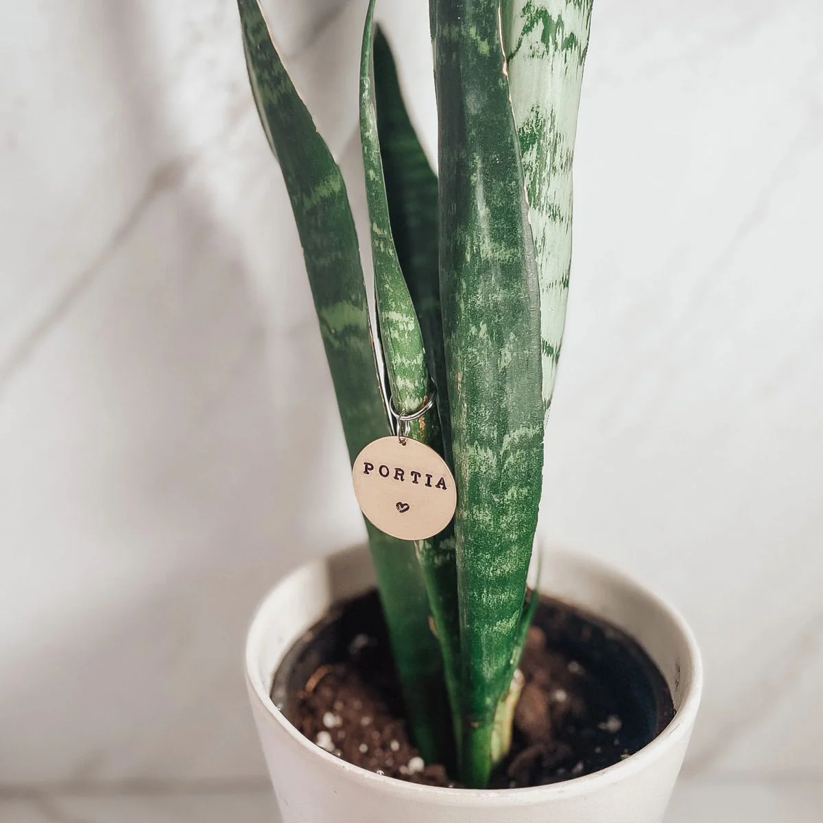 Hand Stamped Pet ID Tag - Image 6