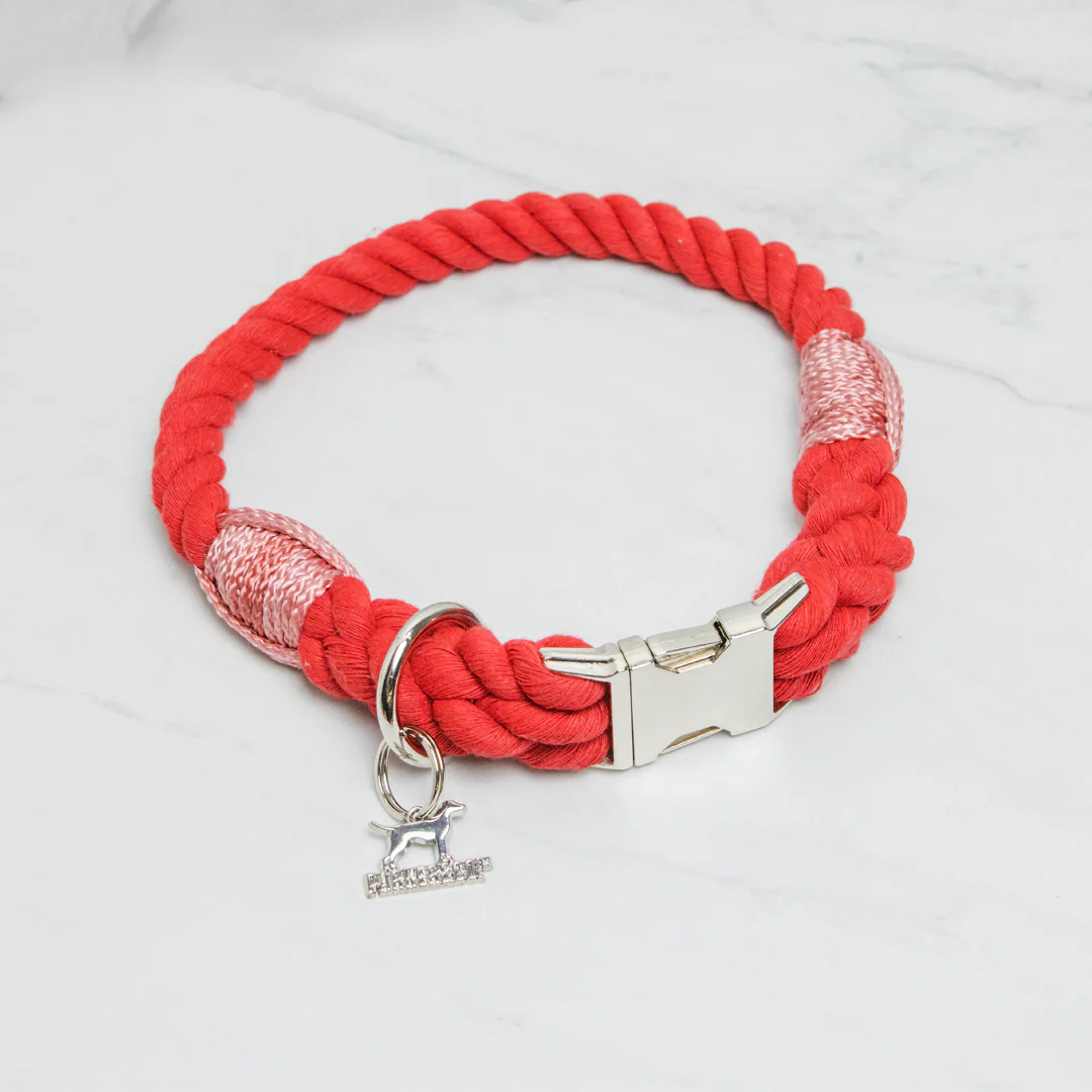 Cotton Rope Buckle Collar - Image 7