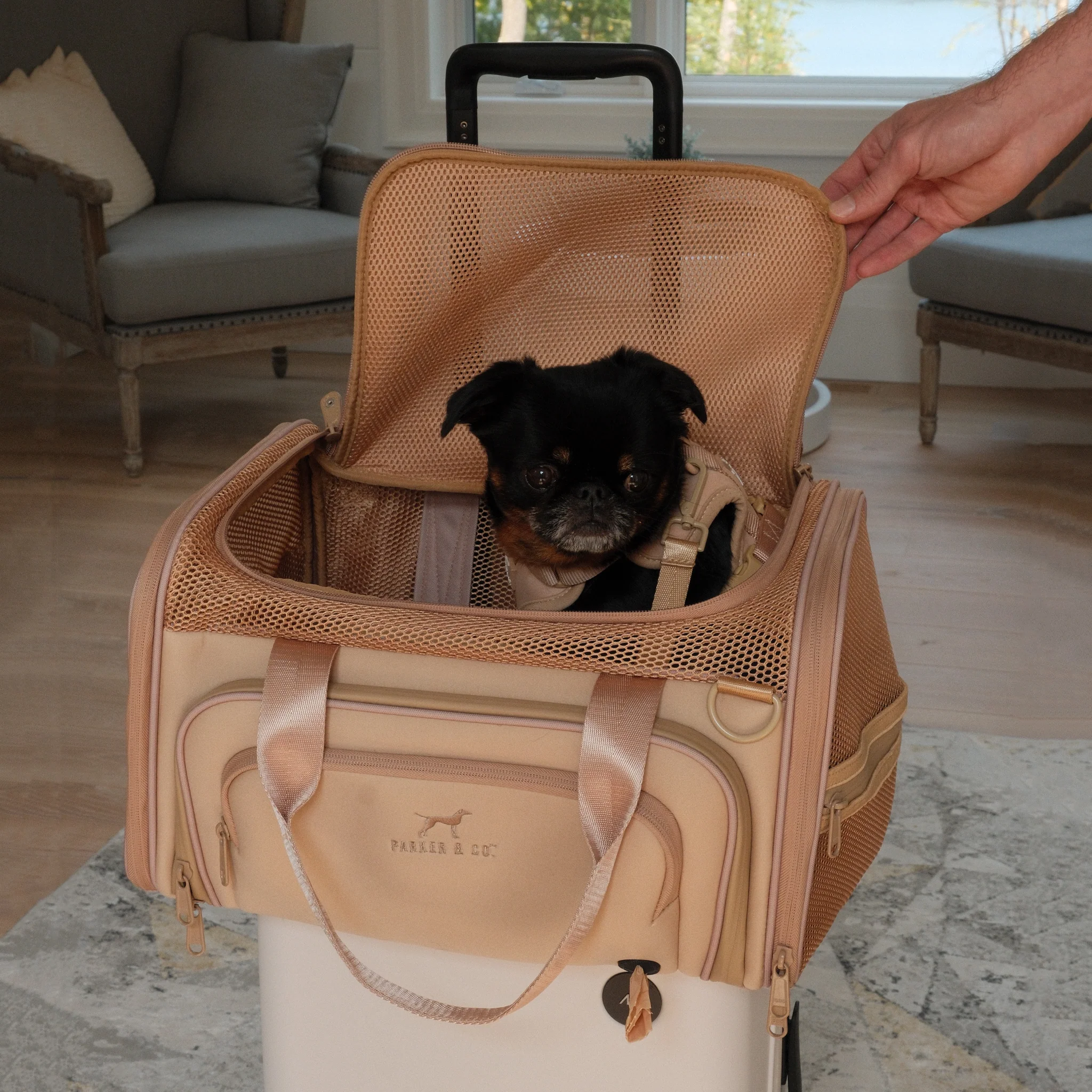 Airline Approved Travel Pet Carrier - Image 14