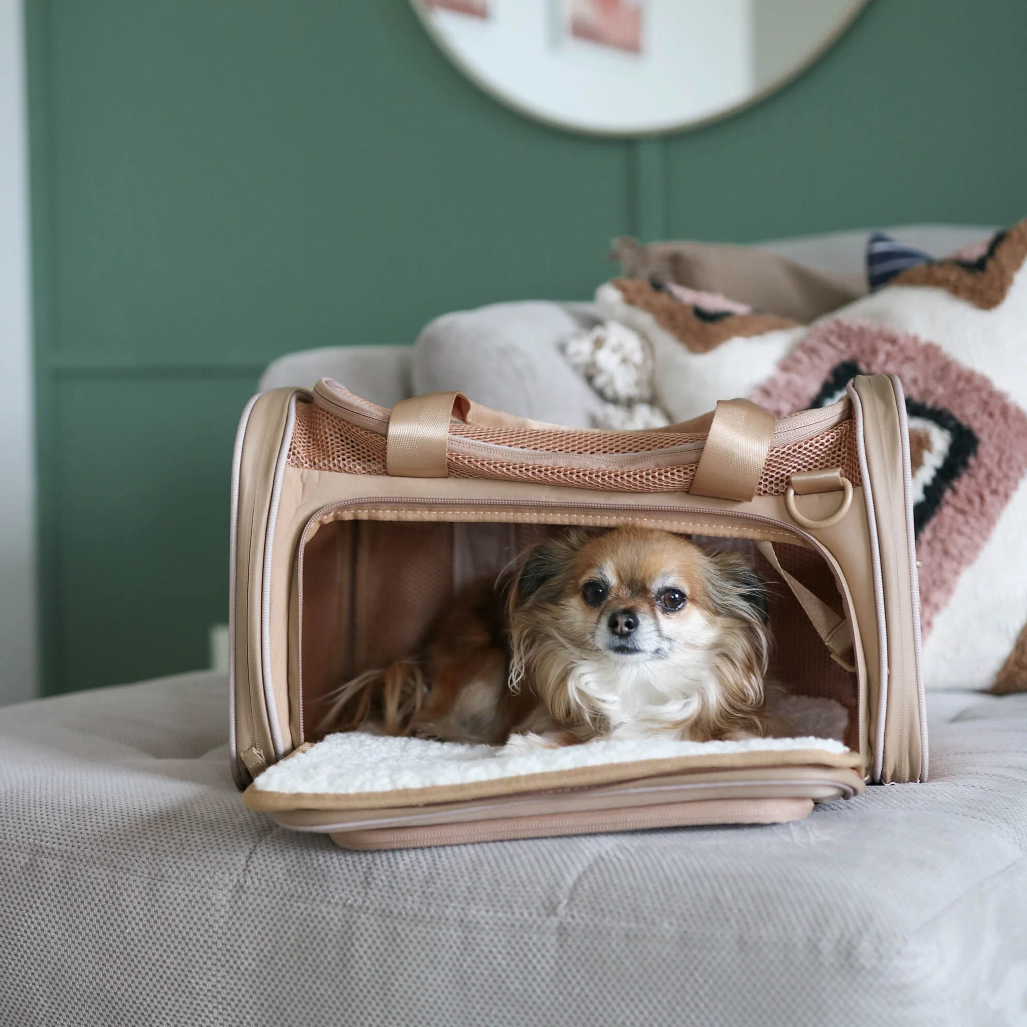 Airline Approved Travel Pet Carrier - Image 3
