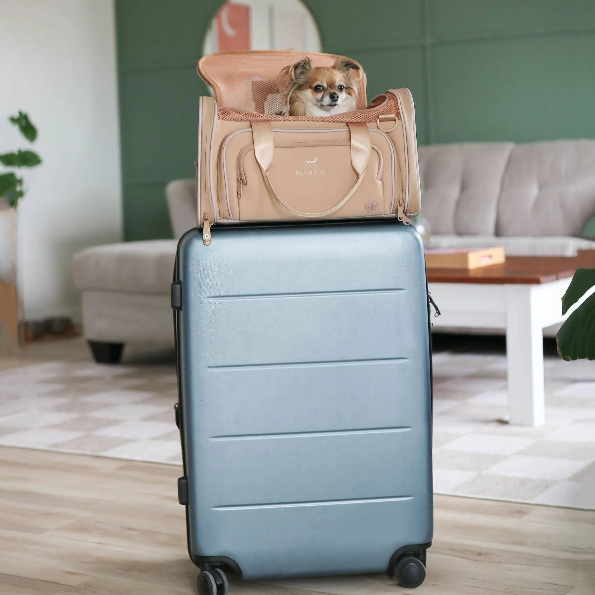Airline Approved Travel Pet Carrier - Image 4