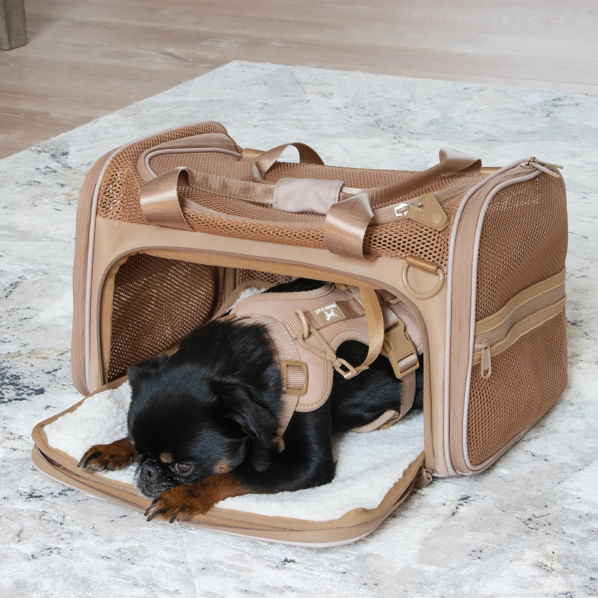 Airline Approved Travel Pet Carrier - Image 5