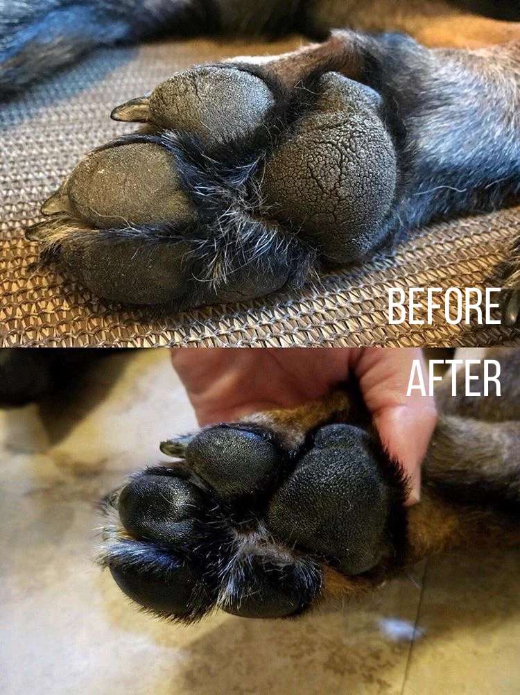 Paw Balm - Image 3