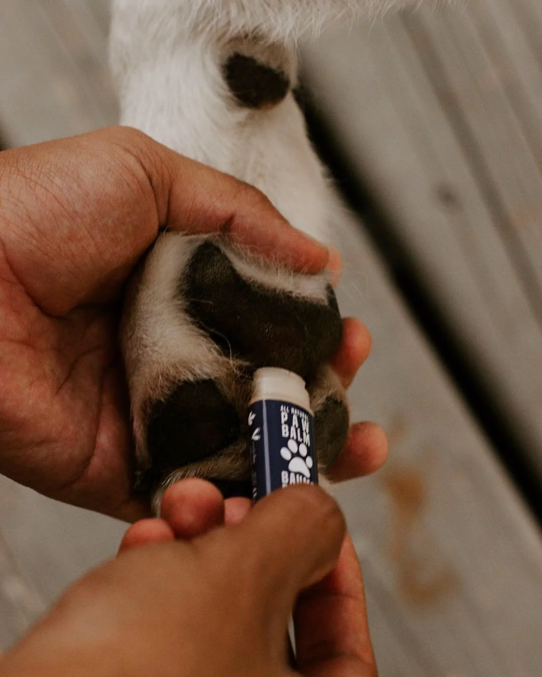 Paw Balm - Image 5