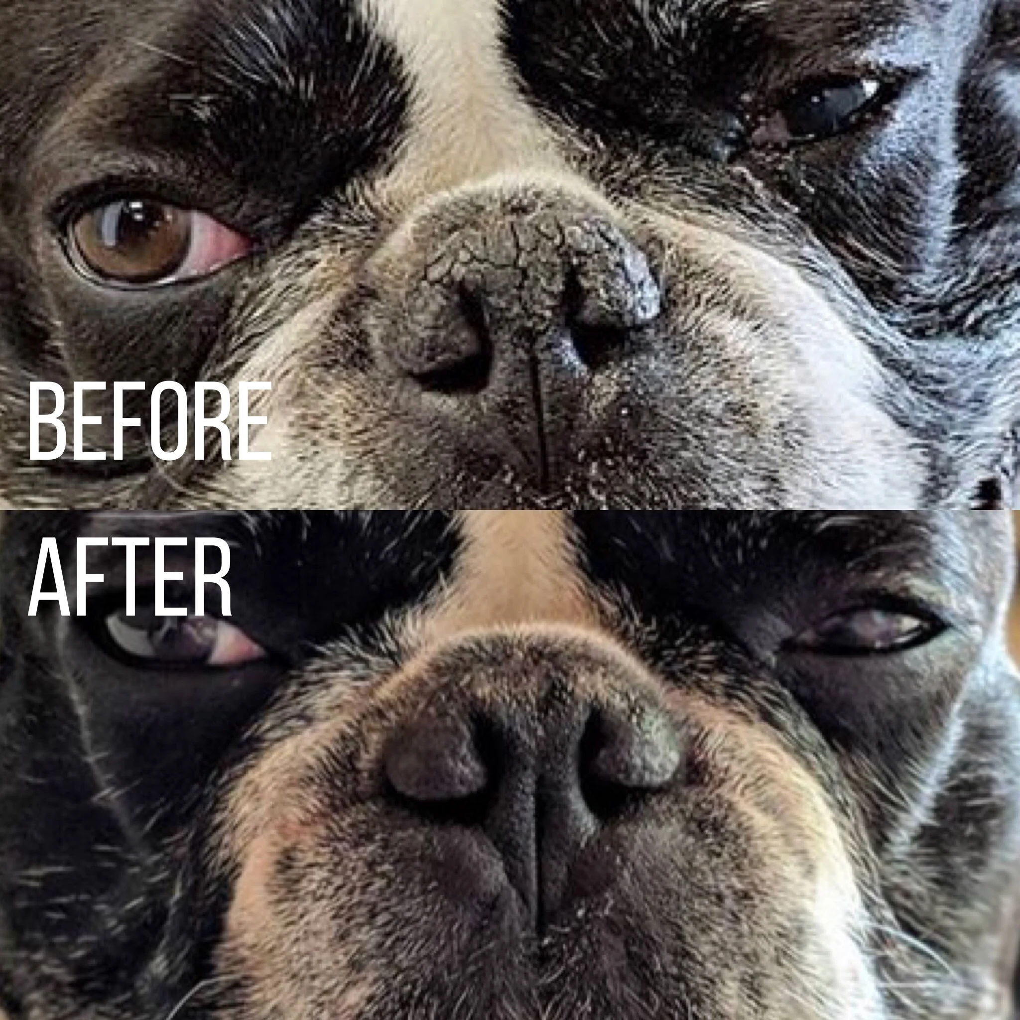 Snout Balm - Image 6