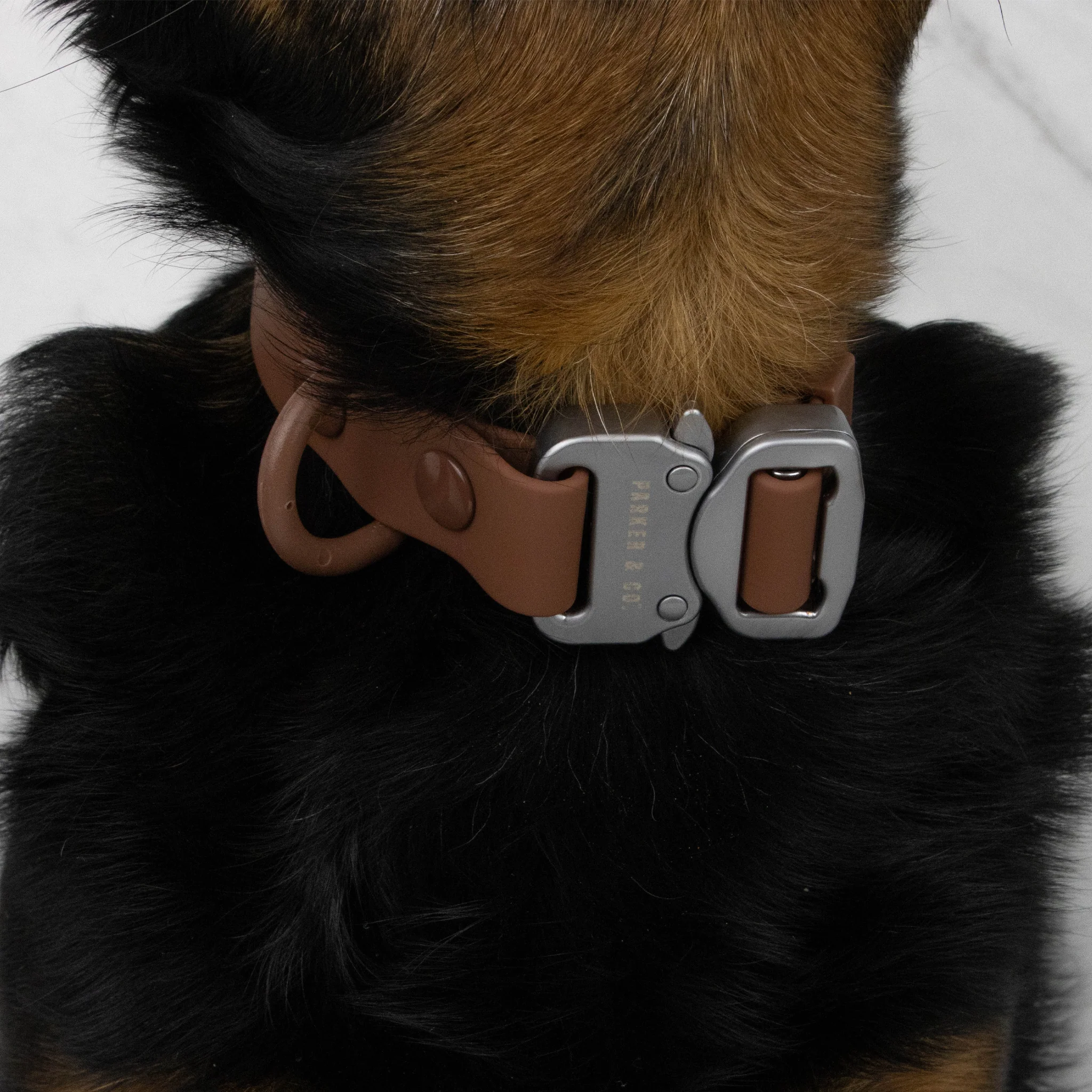 Solace Waterproof Quick Release Adjustable Dog Collar - Image 3