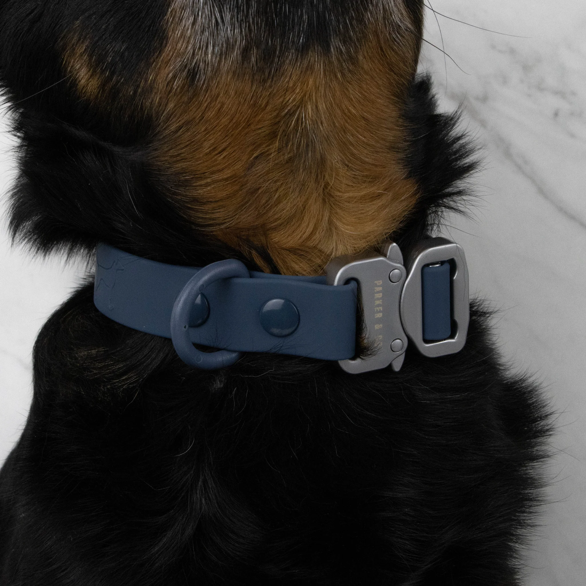 Solace Waterproof Quick Release Adjustable Dog Collar - Image 4