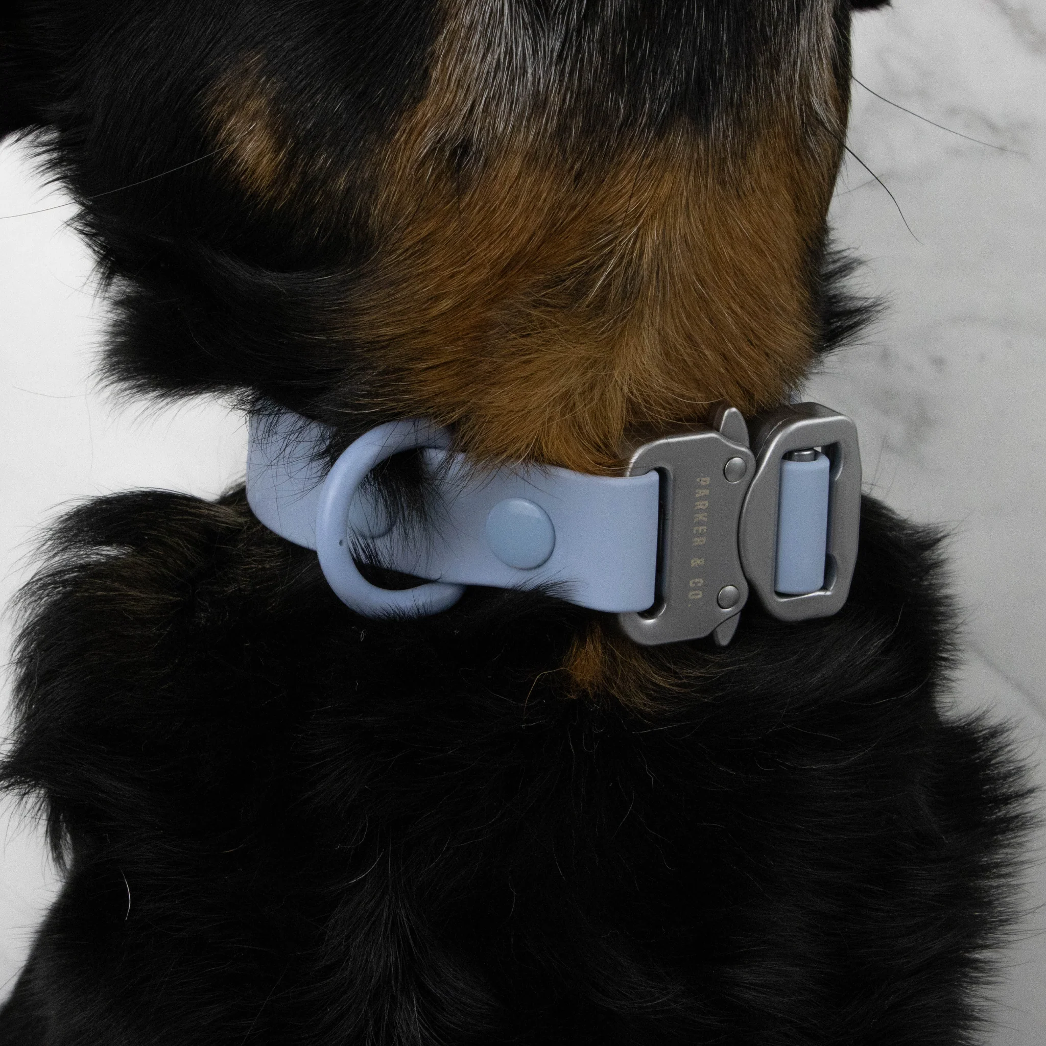 Solace Waterproof Quick Release Adjustable Dog Collar - Image 5