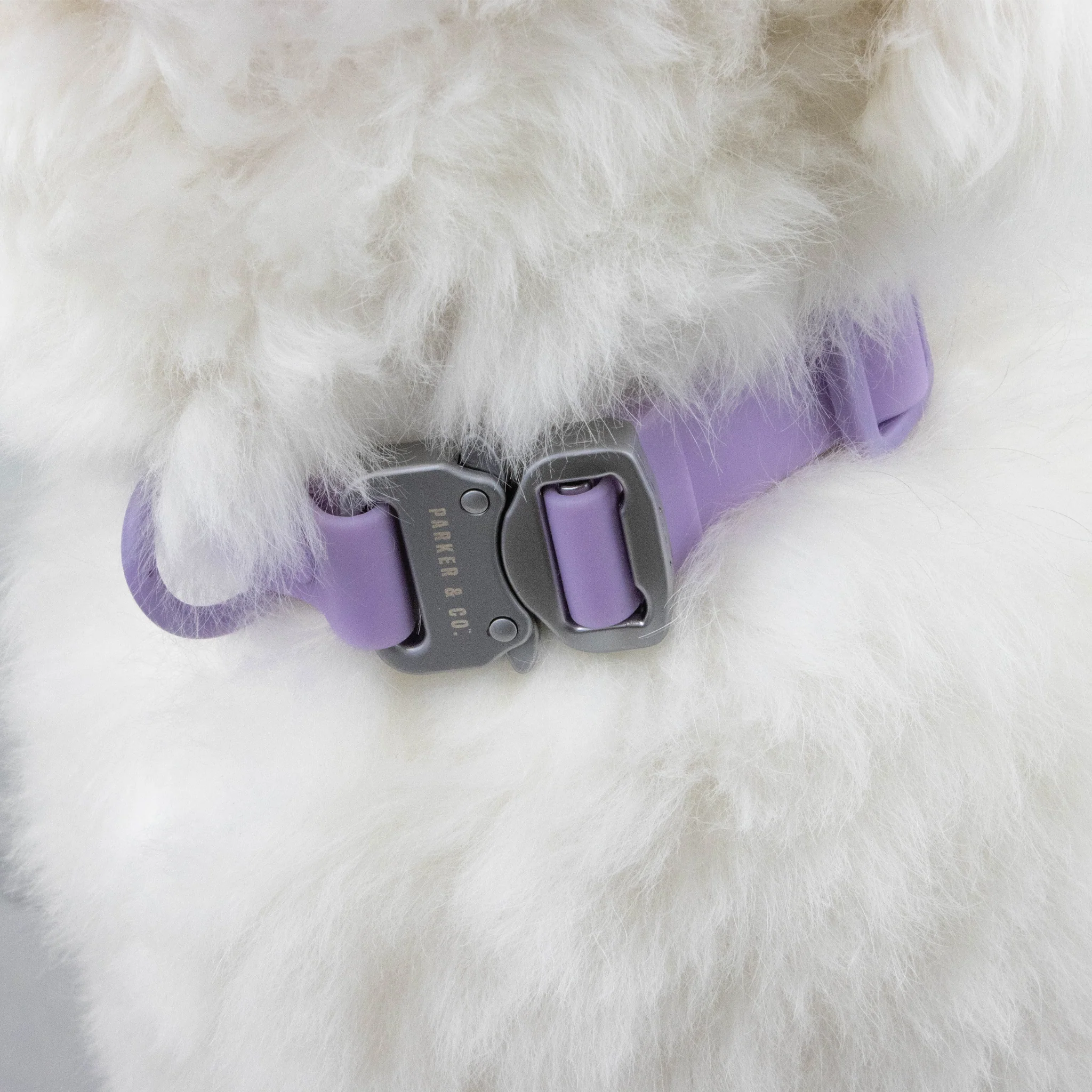 Solace Waterproof Quick Release Adjustable Dog Collar - Image 7