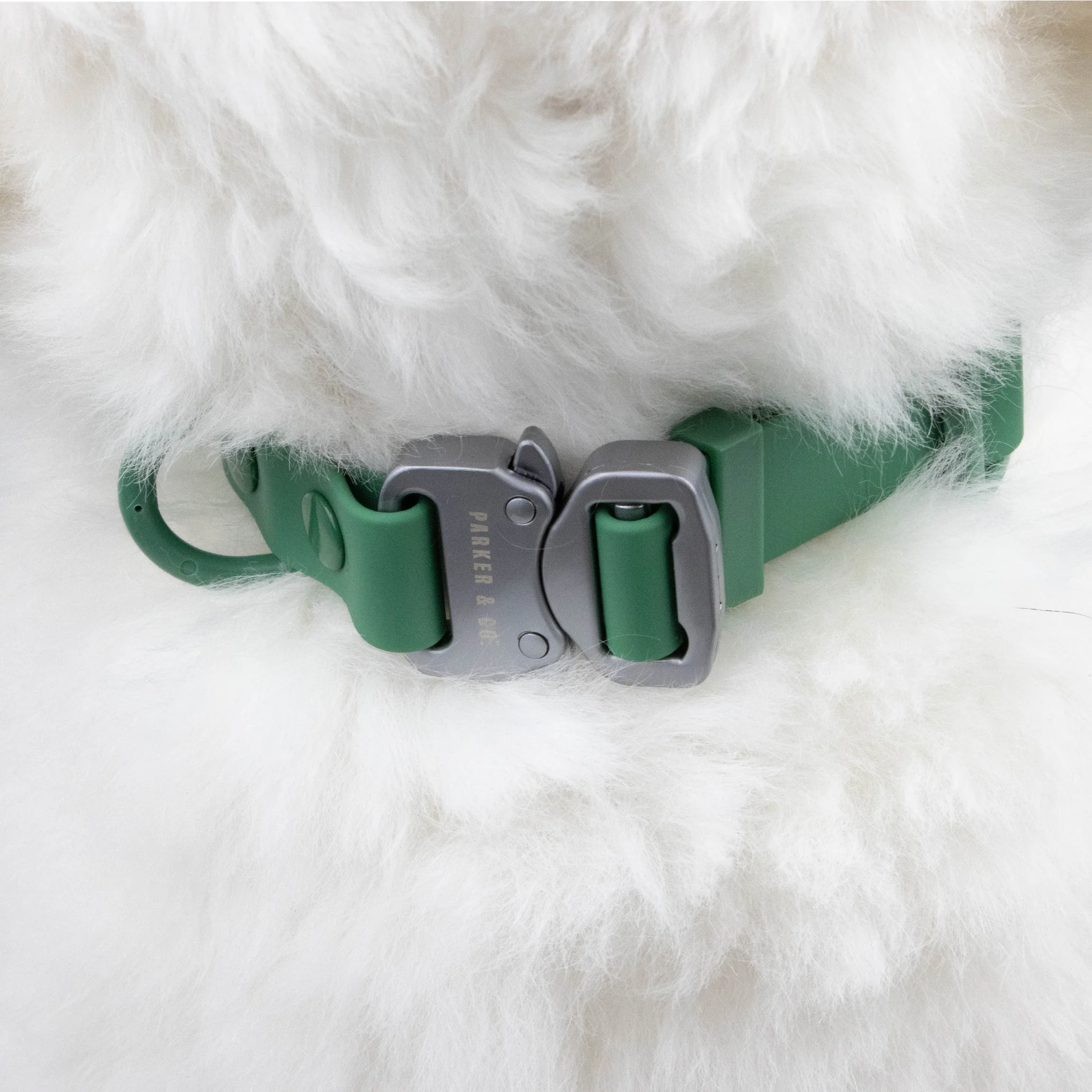 Solace Waterproof Quick Release Adjustable Dog Collar - Image 8
