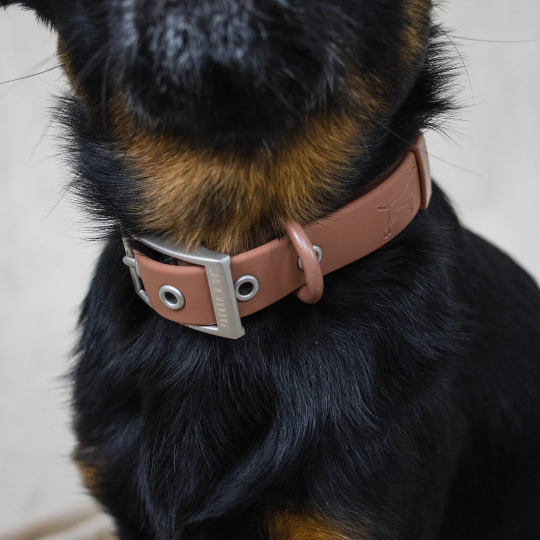 Solace Waterproof Dog Collar - Image 3