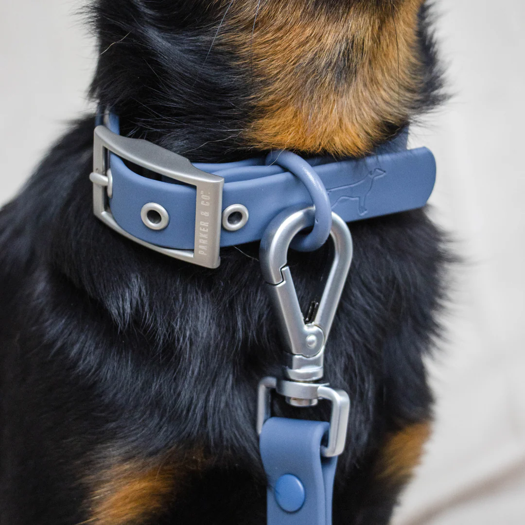 Solace Waterproof Dog Collar - Image 4