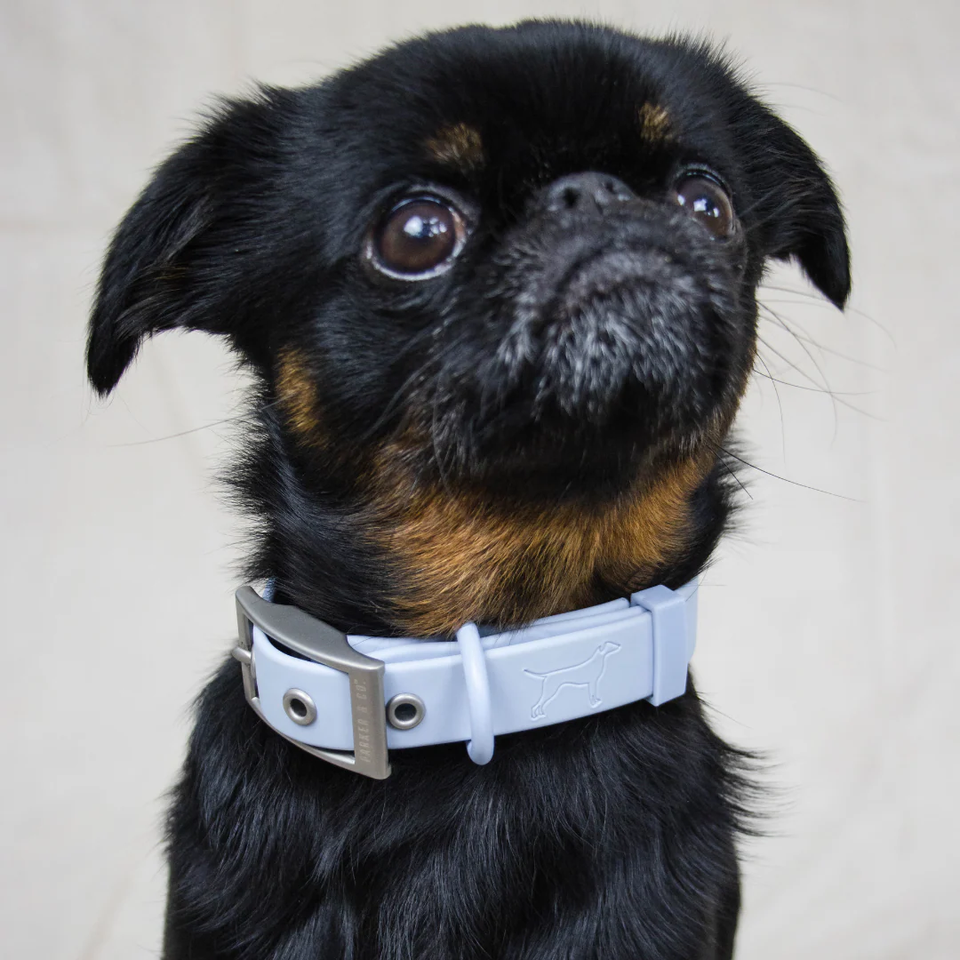 Solace Waterproof Dog Collar - Image 6