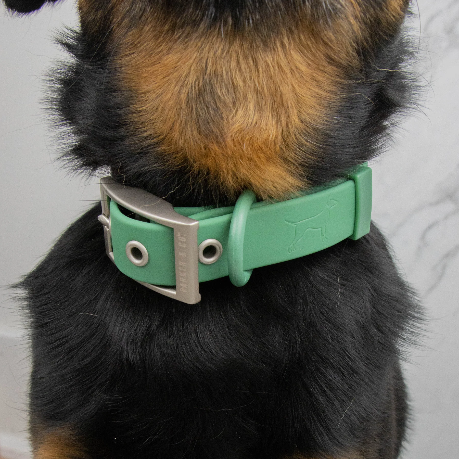Solace Waterproof Dog Collar - Image 7