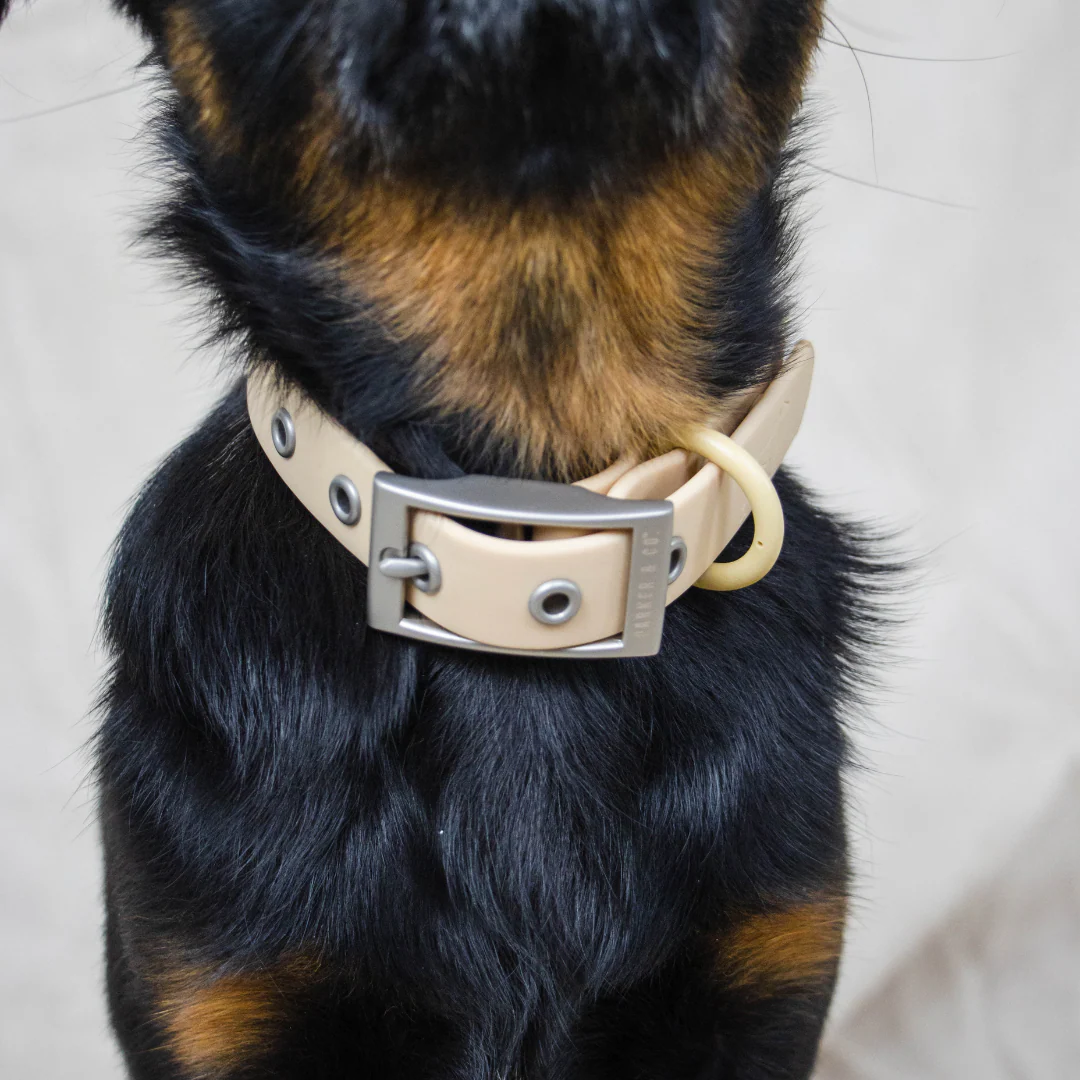 Solace Waterproof Dog Collar - Image 8