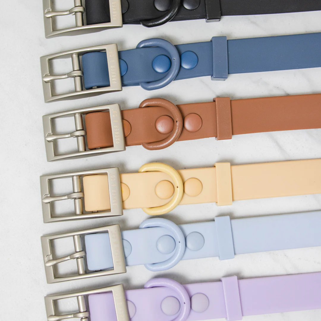 Solace Waterproof Dog Collar - Image 9