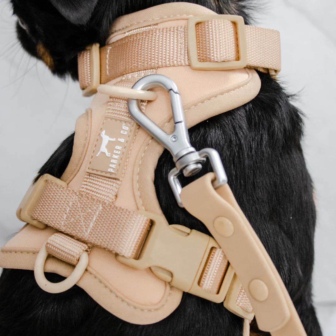 Solace Adjustable Dog Harness - Image 10