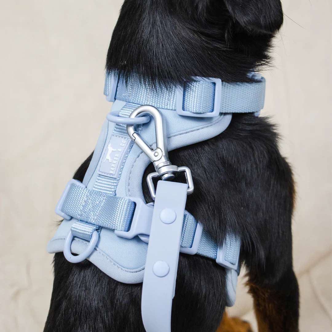 Solace Adjustable Dog Harness - Image 14