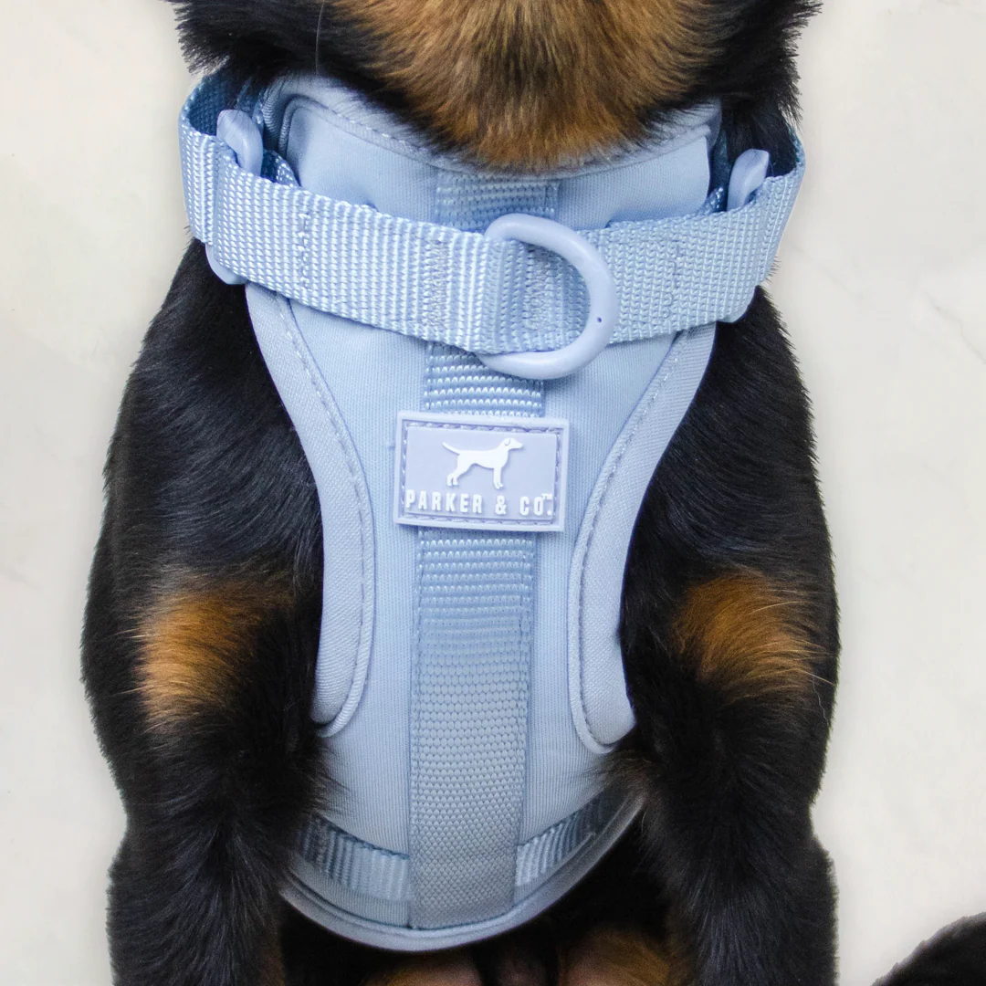 Solace Adjustable Dog Harness - Image 15