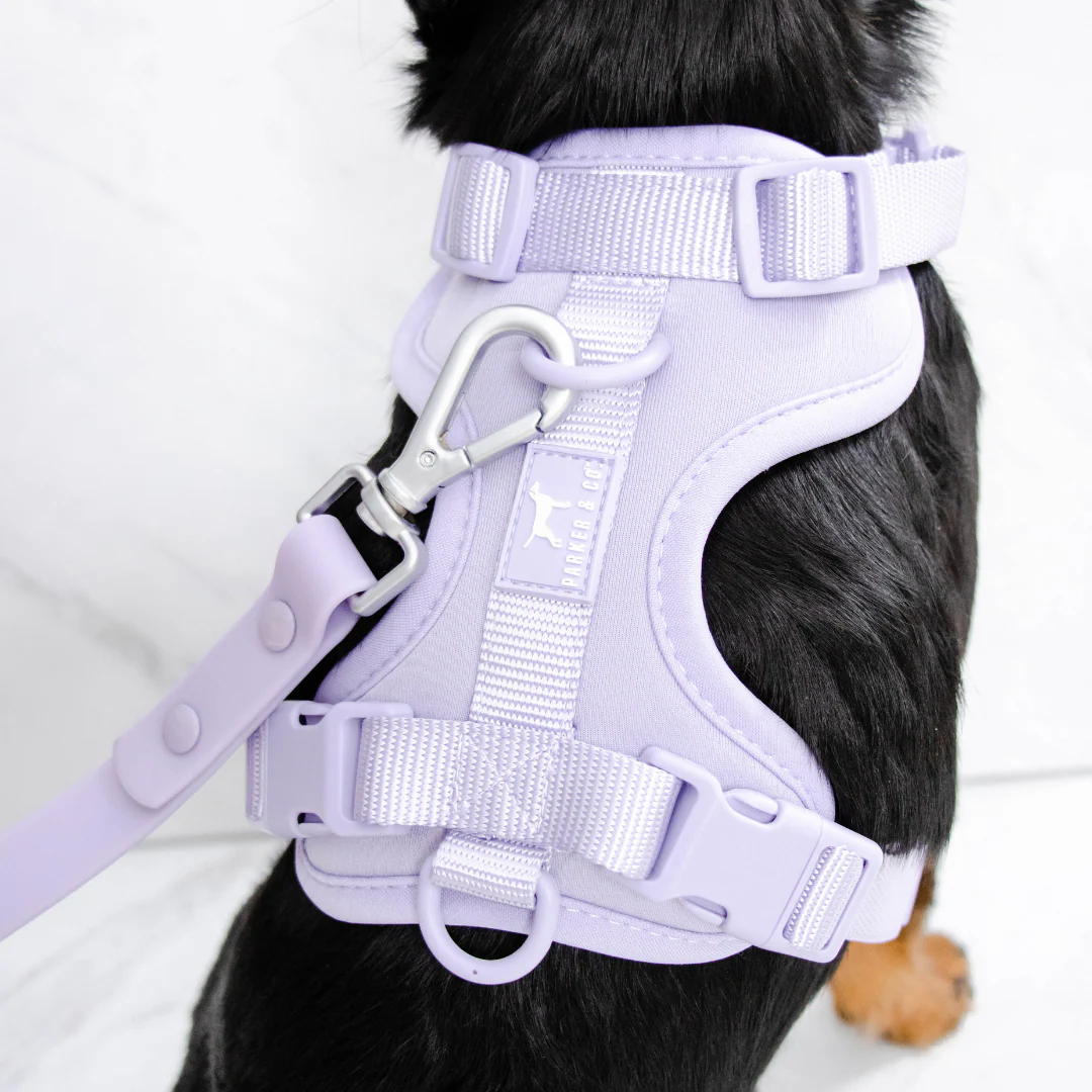 Solace Adjustable Dog Harness - Image 16