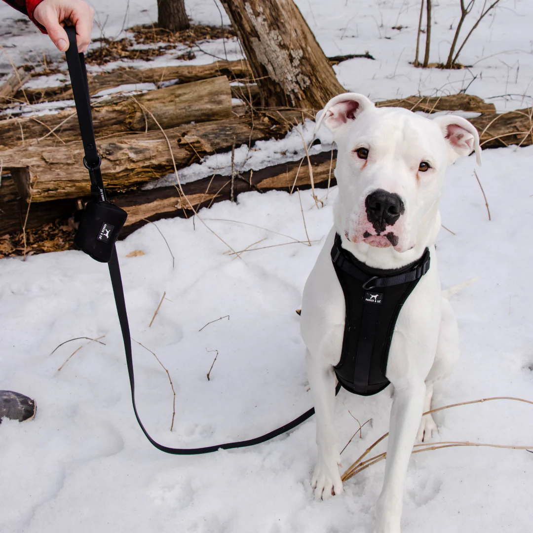 Solace Adjustable Dog Harness - Image 21