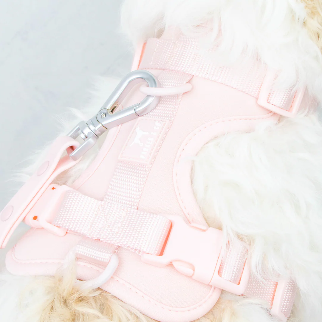 Solace Adjustable Dog Harness - Image 22