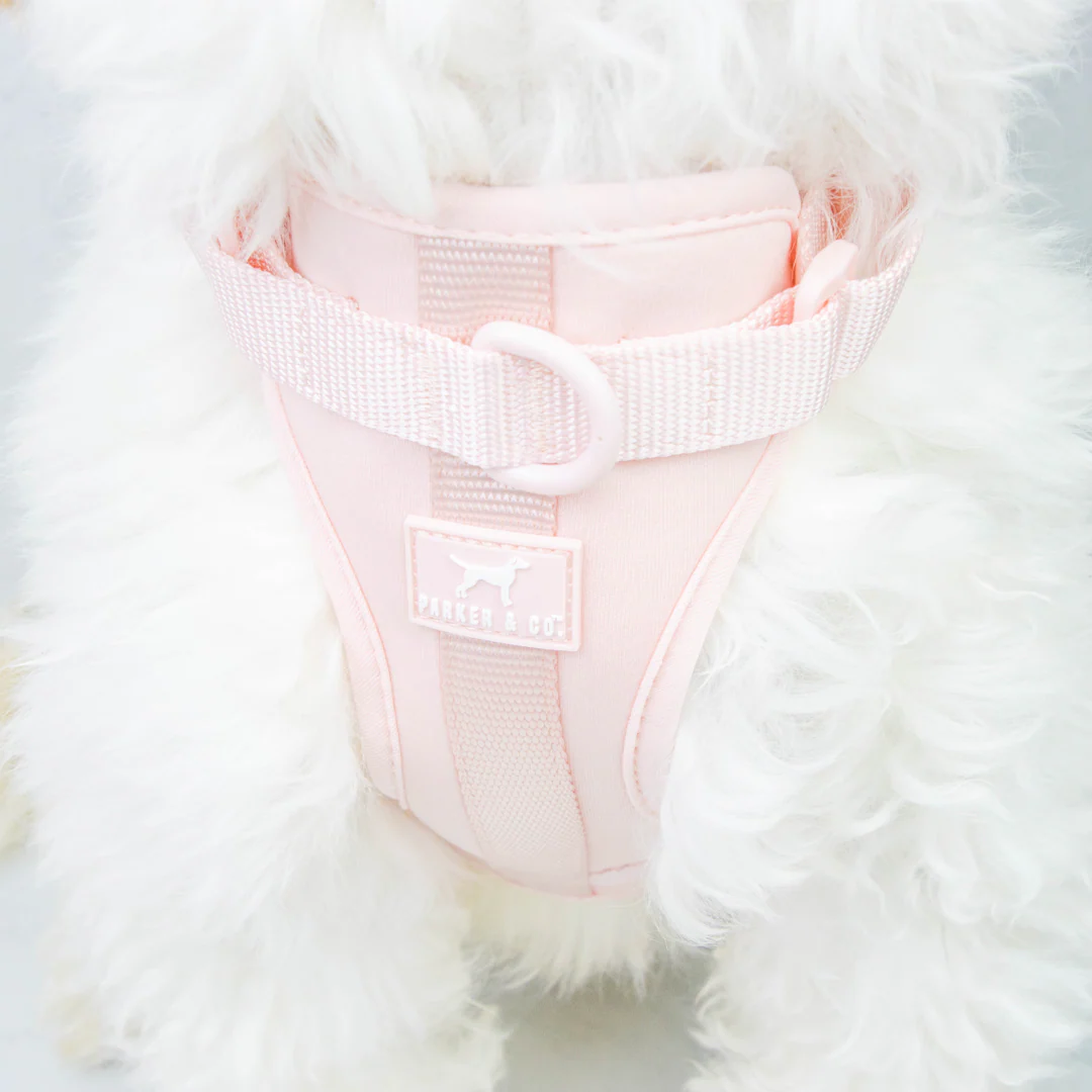 Solace Adjustable Dog Harness - Image 23