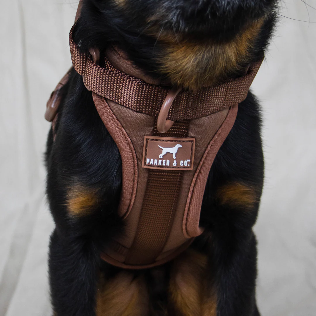 Solace Adjustable Dog Harness - Image 26