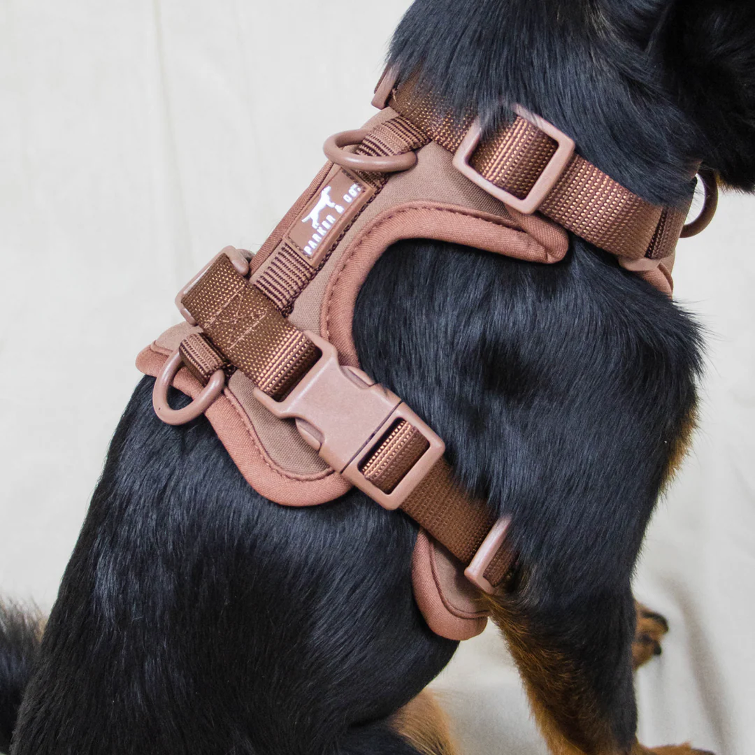 Solace Adjustable Dog Harness - Image 28