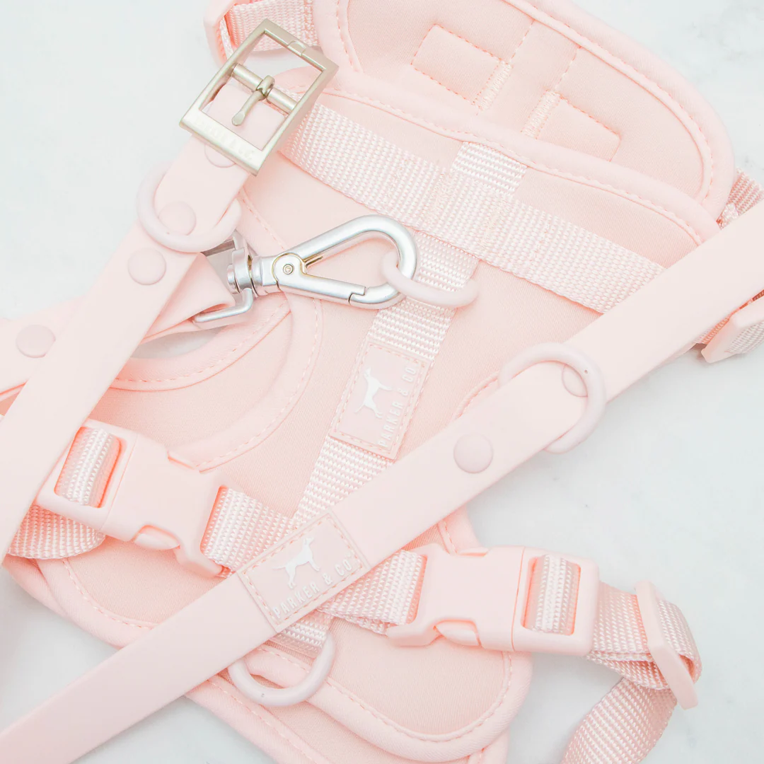 Solace Waterproof Leash - Image 22