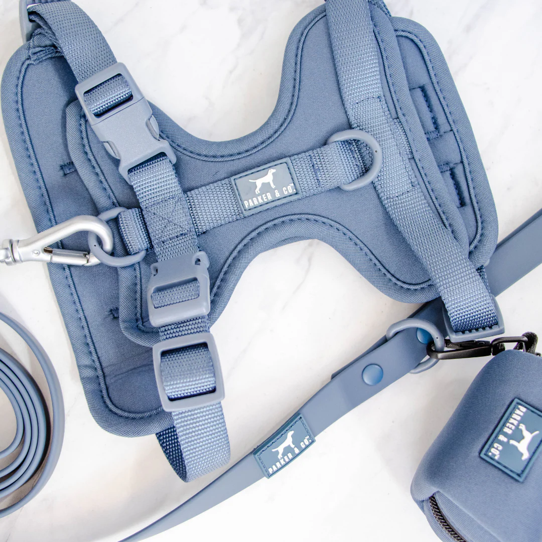 Solace Waterproof Leash - Image 23