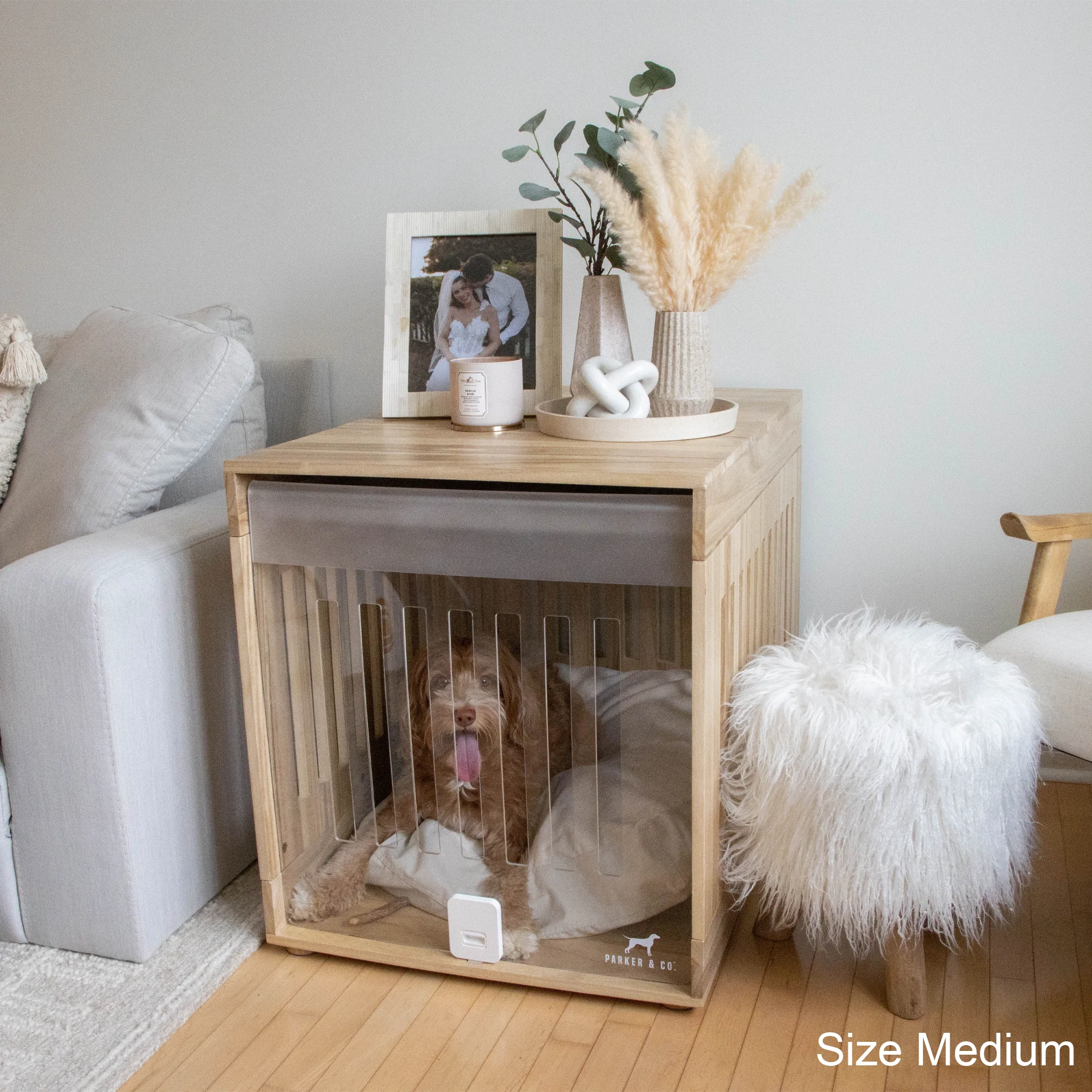 Dog Crate - Image 6